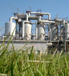 Sugar Industry